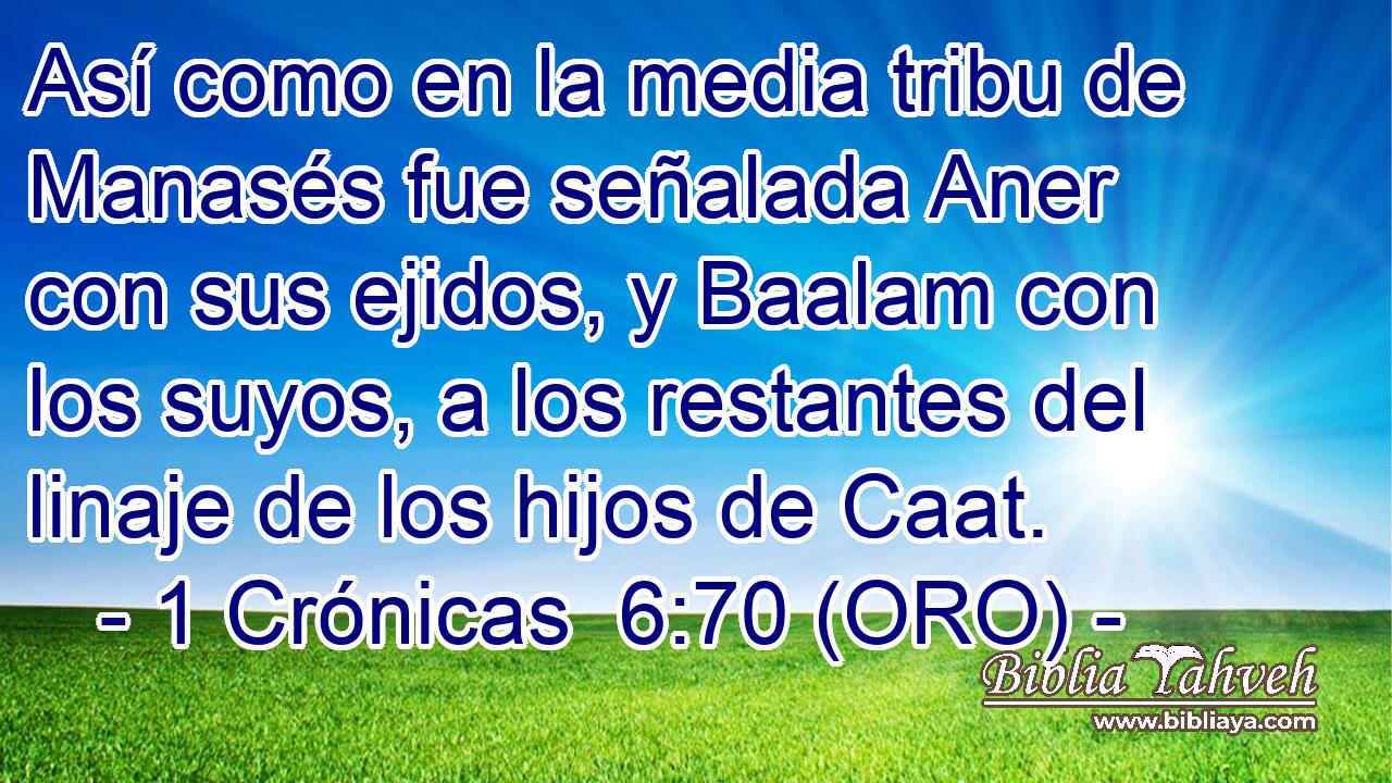  Así como en la media tribu de Manasés fue señalada Aner con sus ejidos, y Baalam con los suyos, a los restantes del linaje de los hijos de Caat. 
