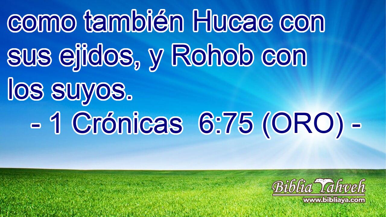 como también Hucac con sus ejidos, y Rohob con los suyos. 