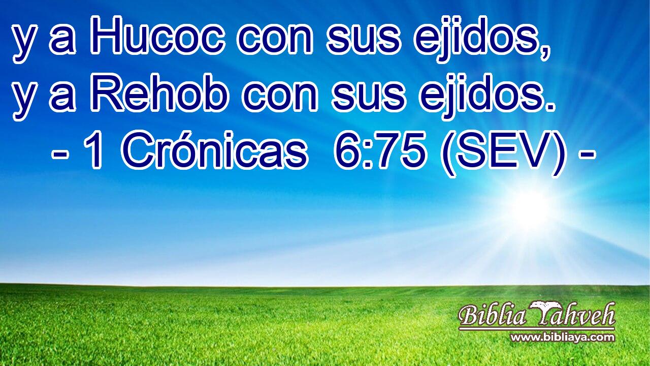 y a Hucoc con sus ejidos, y a Rehob con sus ejidos.
