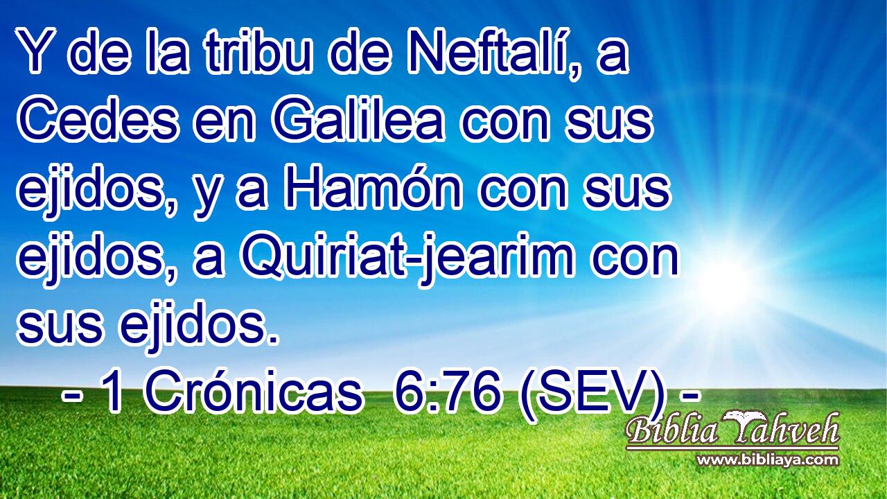 Y de la tribu de Neftalí, a Cedes en Galilea con sus ejidos, y a Hamón con sus ejidos, a Quiriat-jearim con sus ejidos.