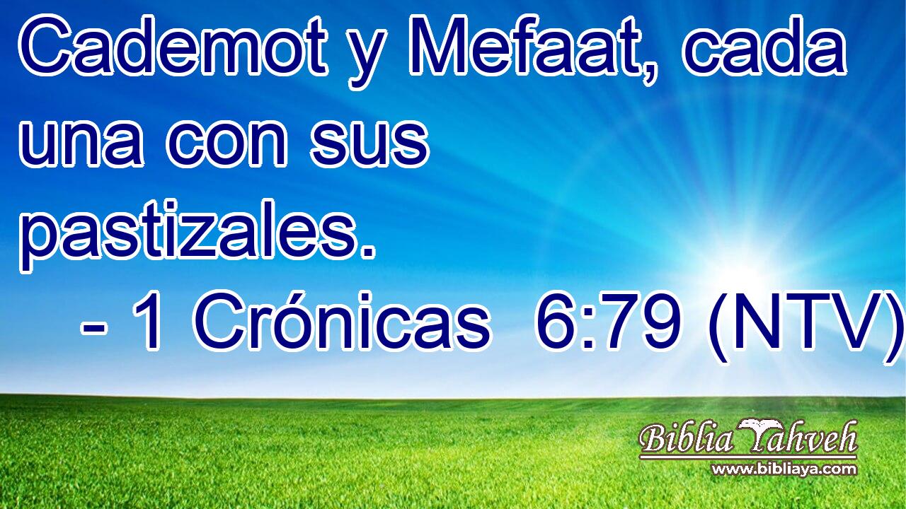 Cademot y Mefaat, cada una con sus pastizales.