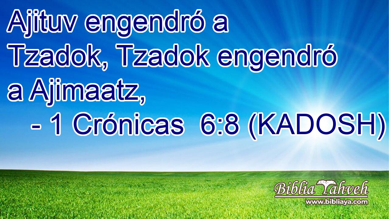  Ajituv engendró a Tzadok, Tzadok engendró a Ajimaatz, 