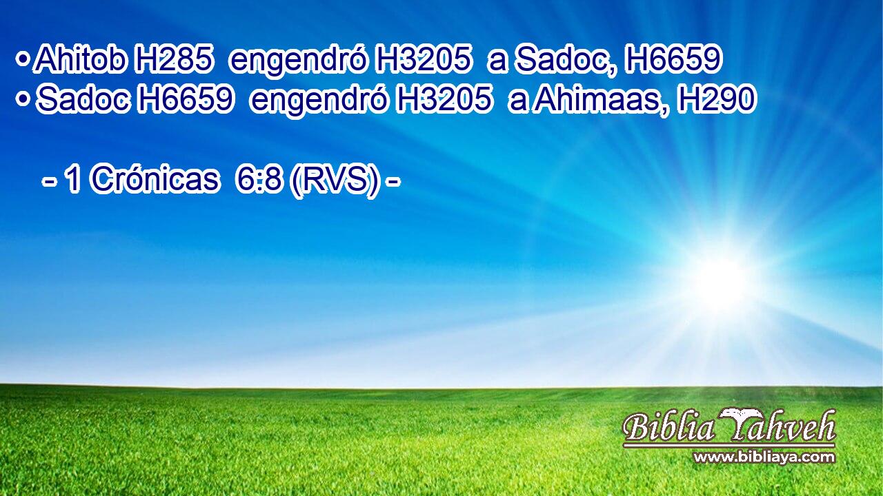 • Ahitob H285  engendró H3205  a Sadoc, H6659  • Sadoc H6659  engendró H3205  a Ahimaas, H290  