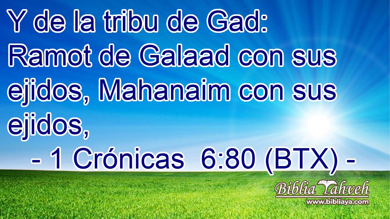 Y de la tribu de Gad: Ramot de Galaad con sus ejidos, Mahanaim con sus ejidos,