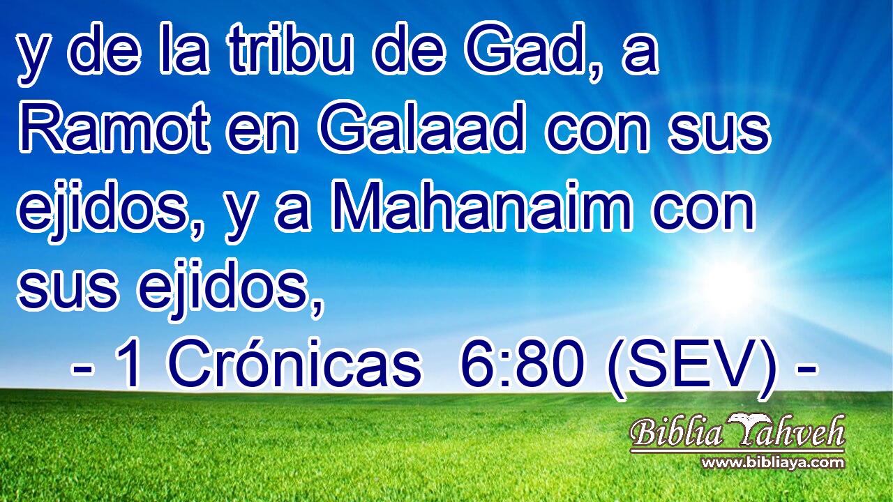y de la tribu de Gad, a Ramot en Galaad con sus ejidos, y a Mahanaim con sus ejidos,