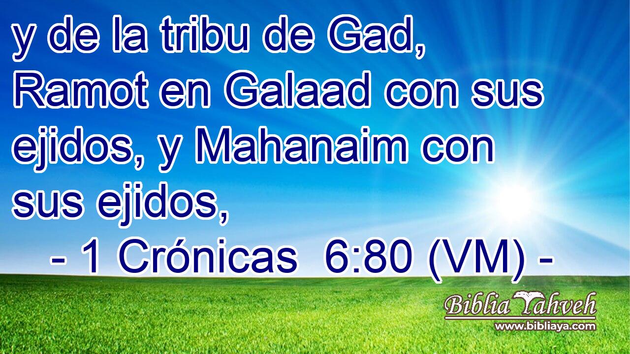  y de la tribu de Gad, Ramot en Galaad con sus ejidos, y Mahanaim con sus ejidos, 