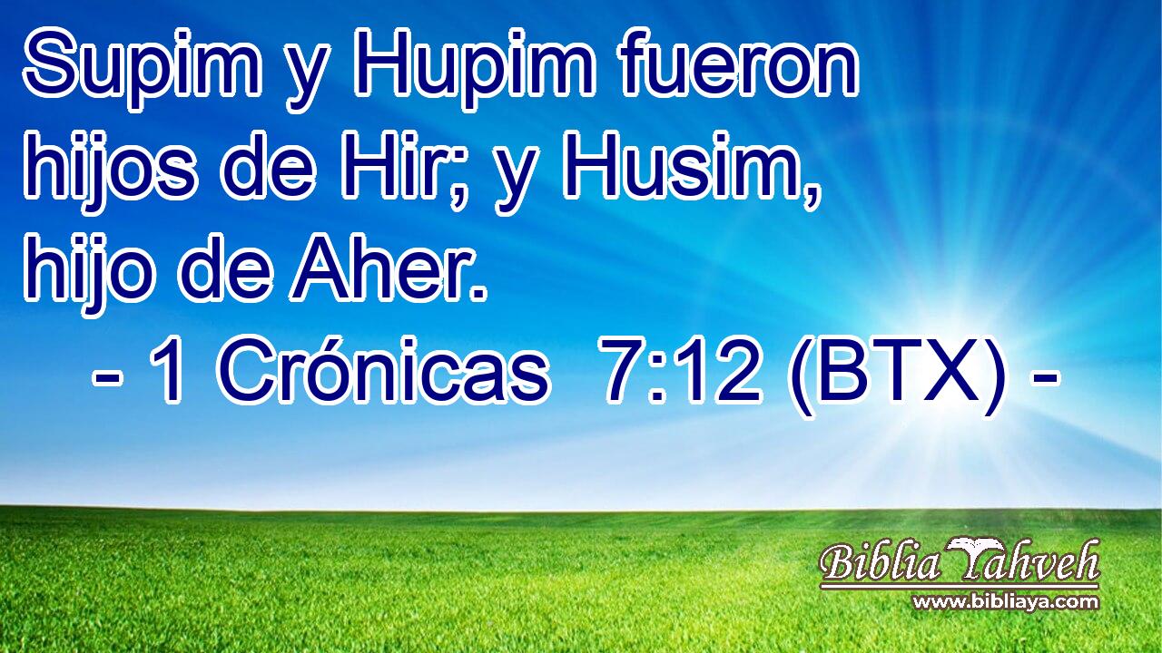 Supim y Hupim fueron hijos de Hir; y Husim, hijo de Aher.