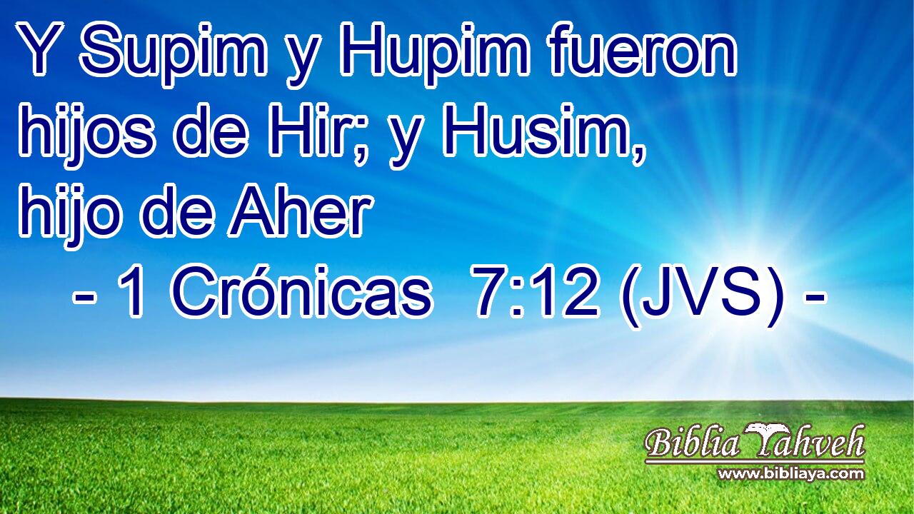 Y Supim y Hupim fueron hijos de Hir; y Husim, hijo de Aher