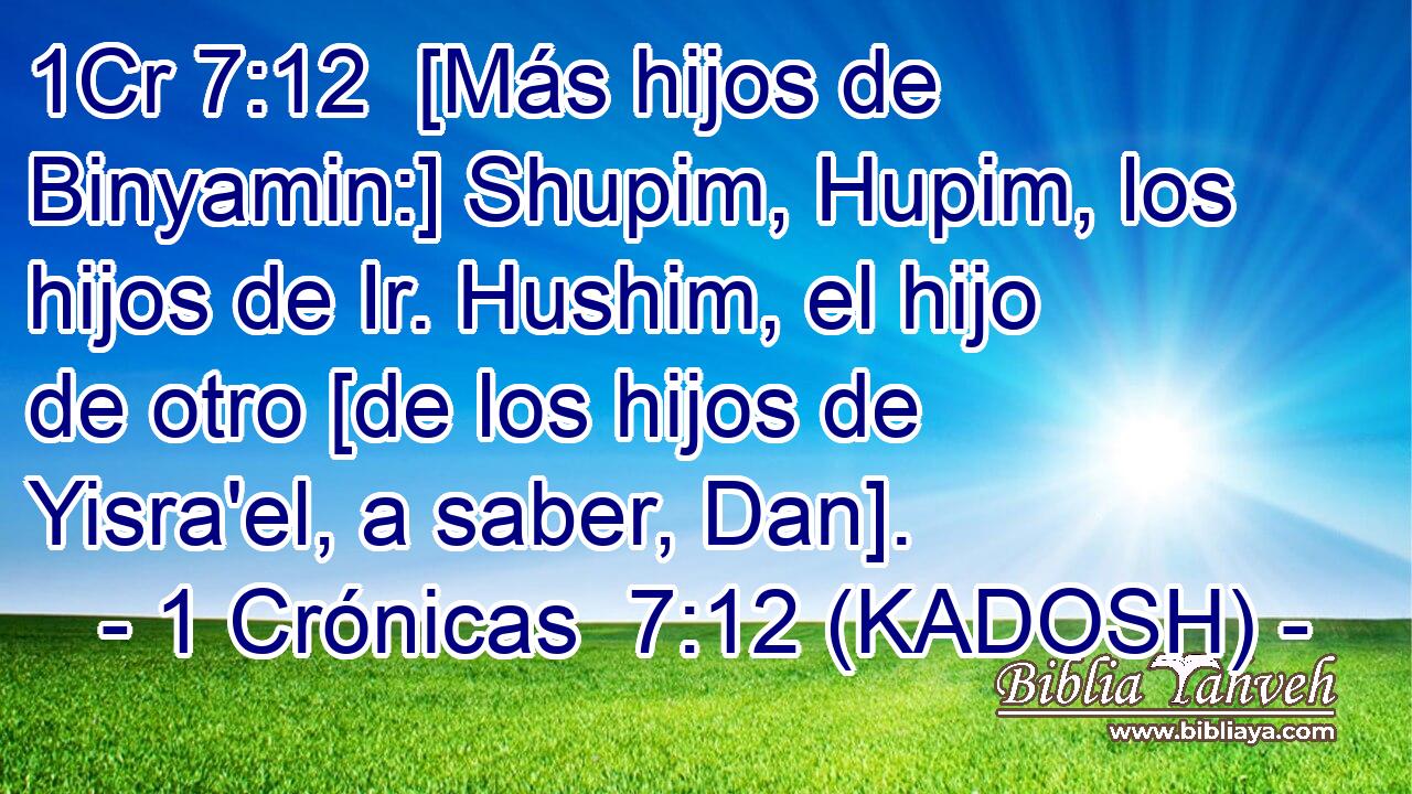  [Más hijos de Binyamin:] Shupim, Hupim, los hijos de Ir. Hushim, el hijo de otro [de los hijos de Yisra'el, a saber, Dan]. 