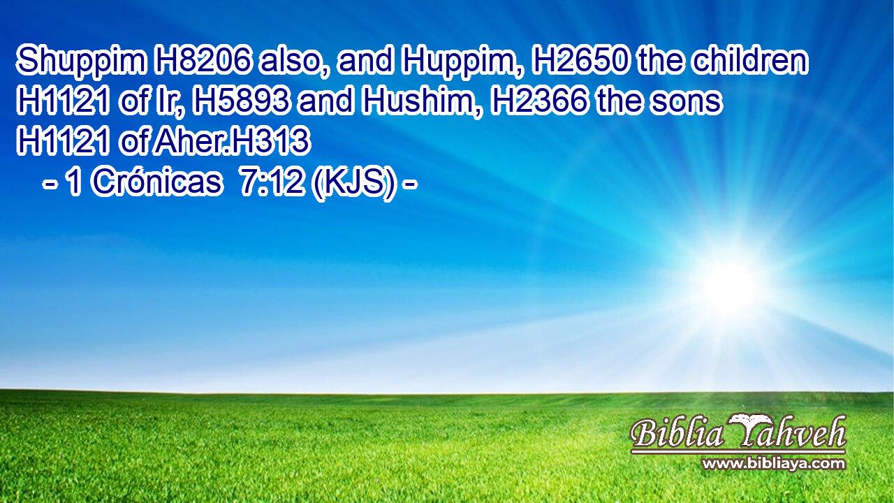 Shuppim H8206 also, and Huppim, H2650 the children H1121 of Ir, H5893 and Hushim, H2366 the sons H1121 of Aher.H313
