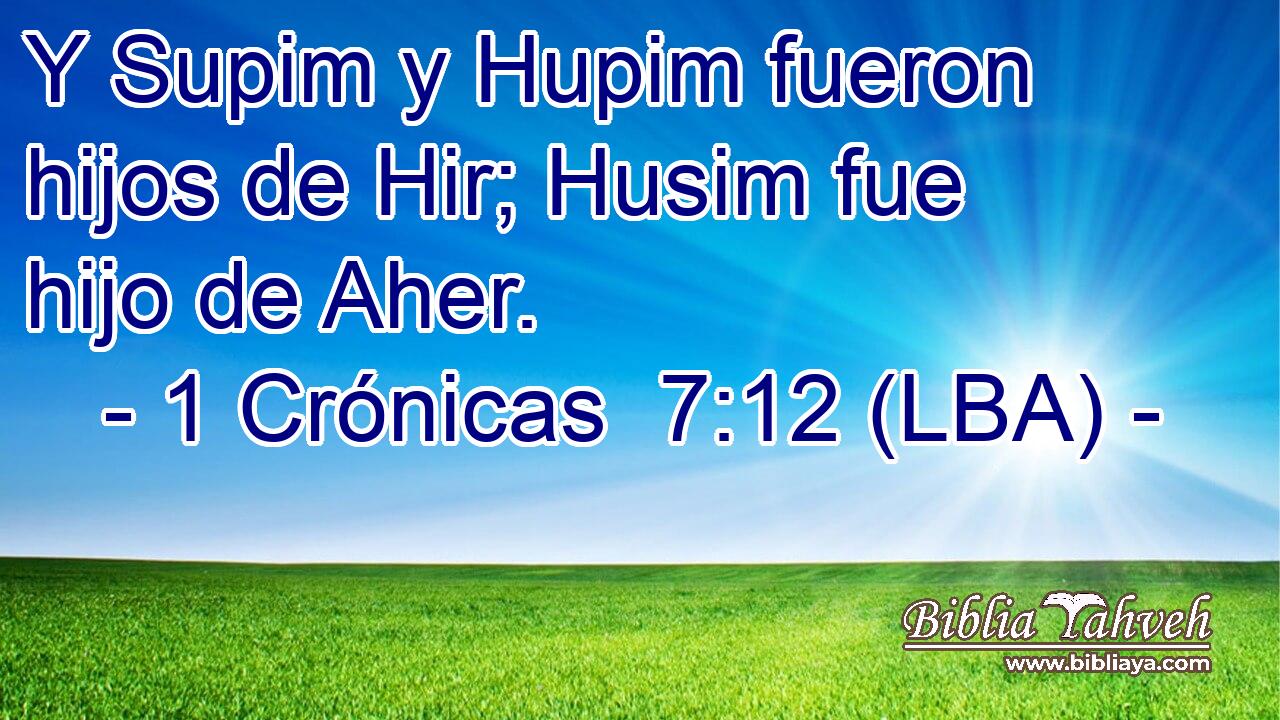 Y Supim y Hupim fueron hijos de Hir; Husim fue hijo de Aher.