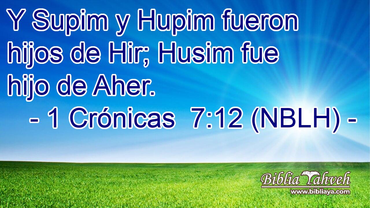  Y Supim y Hupim fueron hijos de Hir; Husim fue hijo de Aher. 