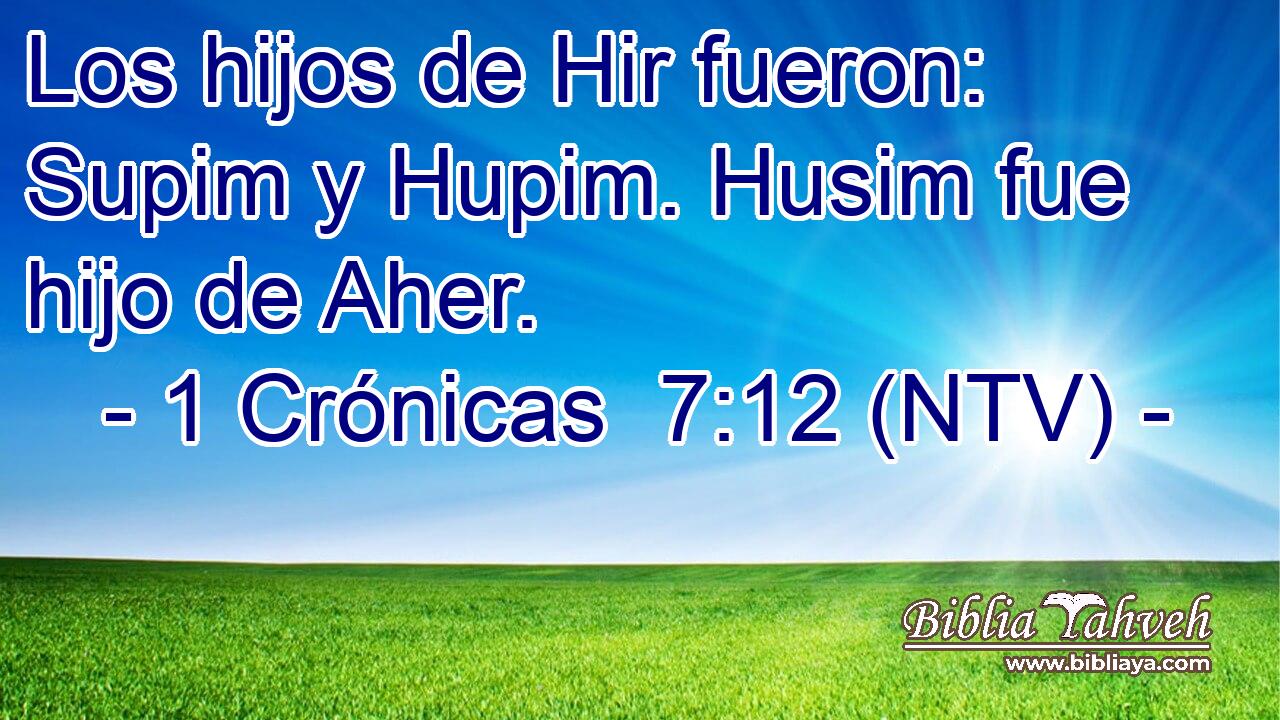 Los hijos de Hir fueron: Supim y Hupim. Husim fue hijo de Aher.