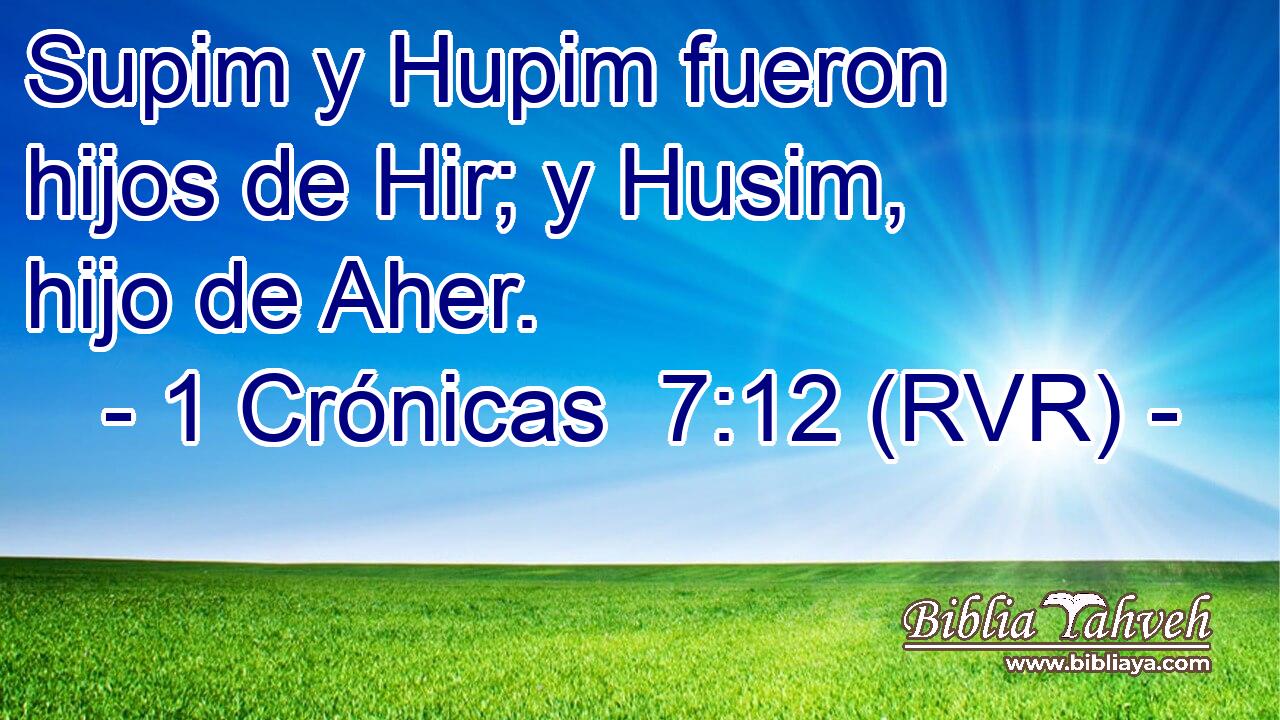 Supim y Hupim fueron hijos de Hir; y Husim, hijo de Aher.