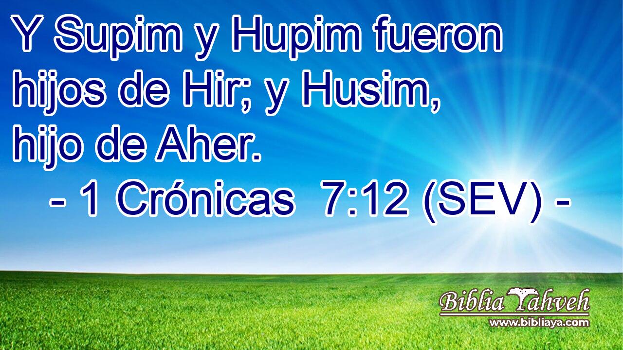 Y Supim y Hupim fueron hijos de Hir; y Husim, hijo de Aher.