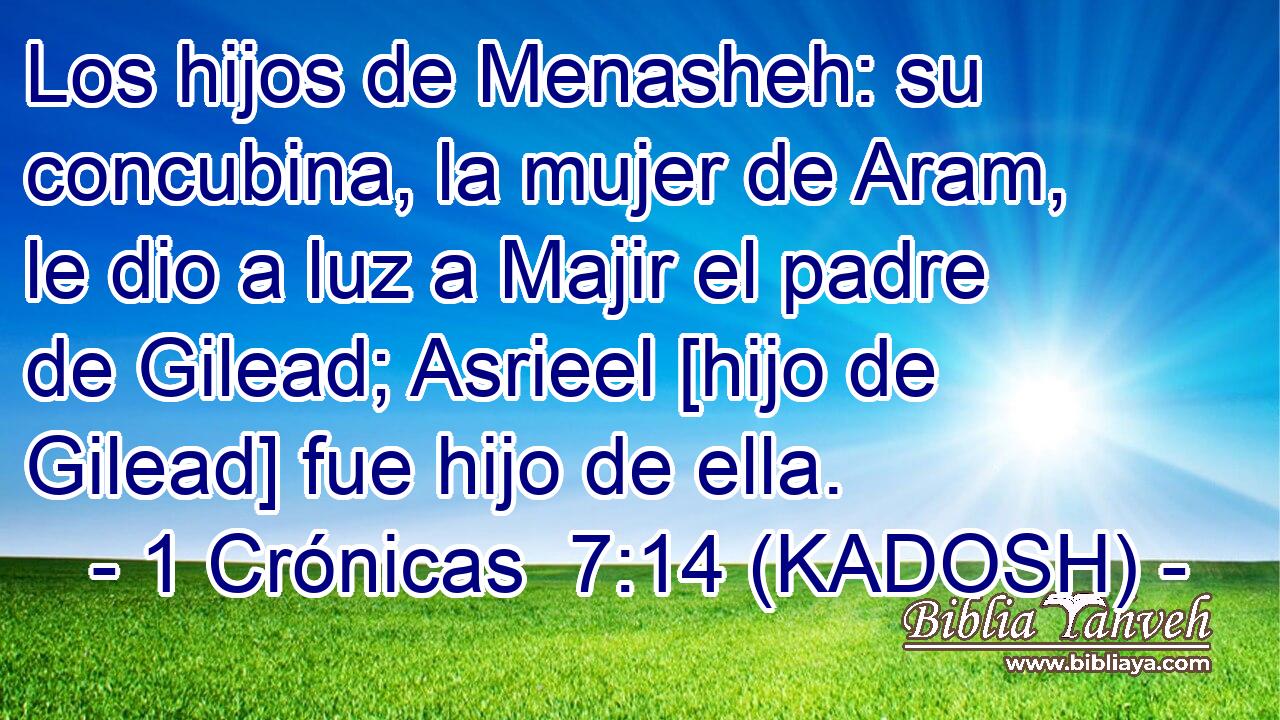  Los hijos de Menasheh: su concubina, la mujer de Aram, le dio a luz a Majir el padre de Gilead; Asrieel [hijo de Gilead] fue hijo de ella. 