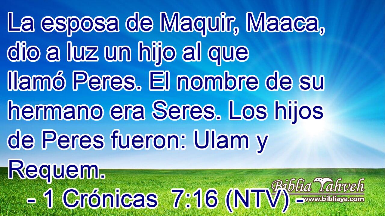 La esposa de Maquir, Maaca, dio a luz un hijo al que llamó Peres. El nombre de su hermano era Seres. Los hijos de Peres fueron: Ulam y Requem.