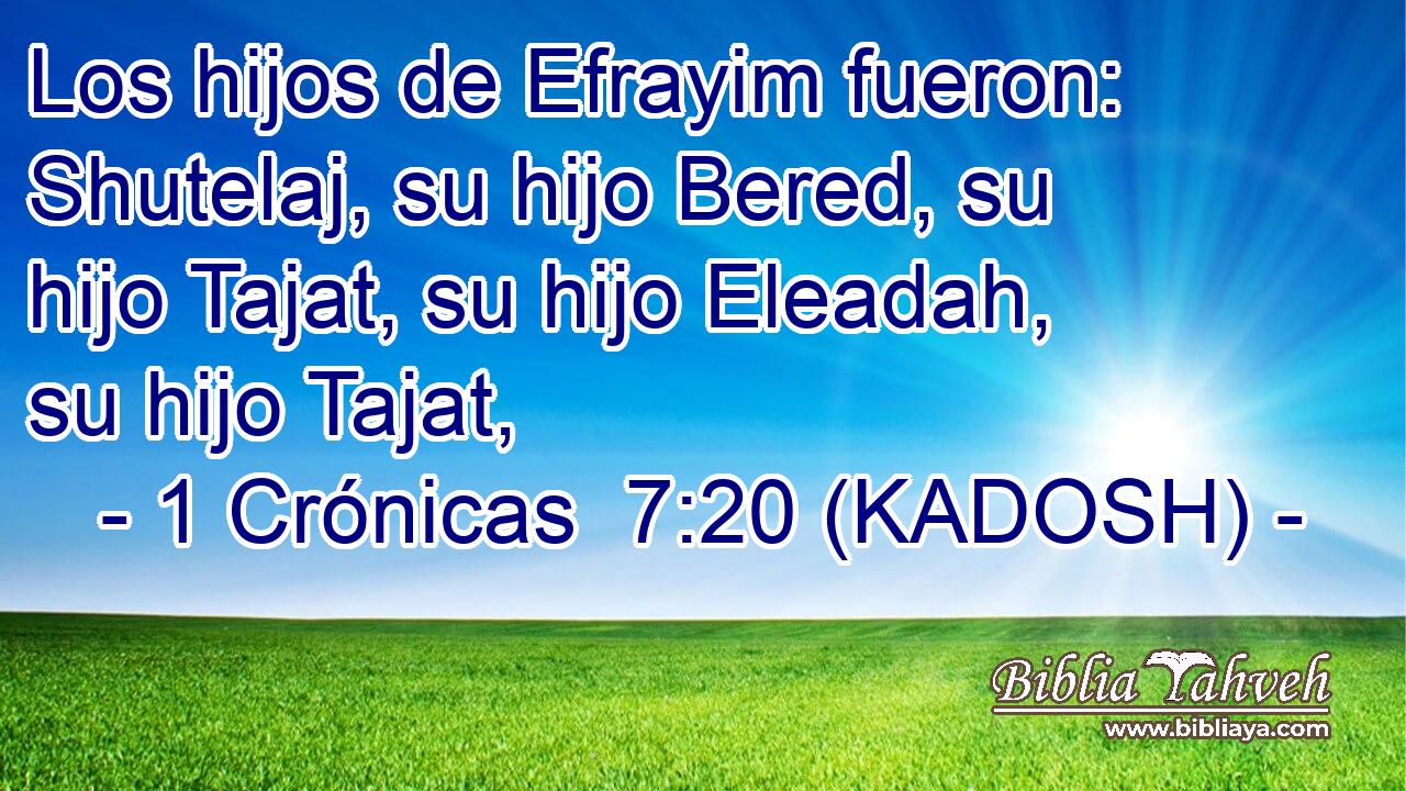  Los hijos de Efrayim fueron: Shutelaj, su hijo Bered, su hijo Tajat, su hijo Eleadah, su hijo Tajat, 
