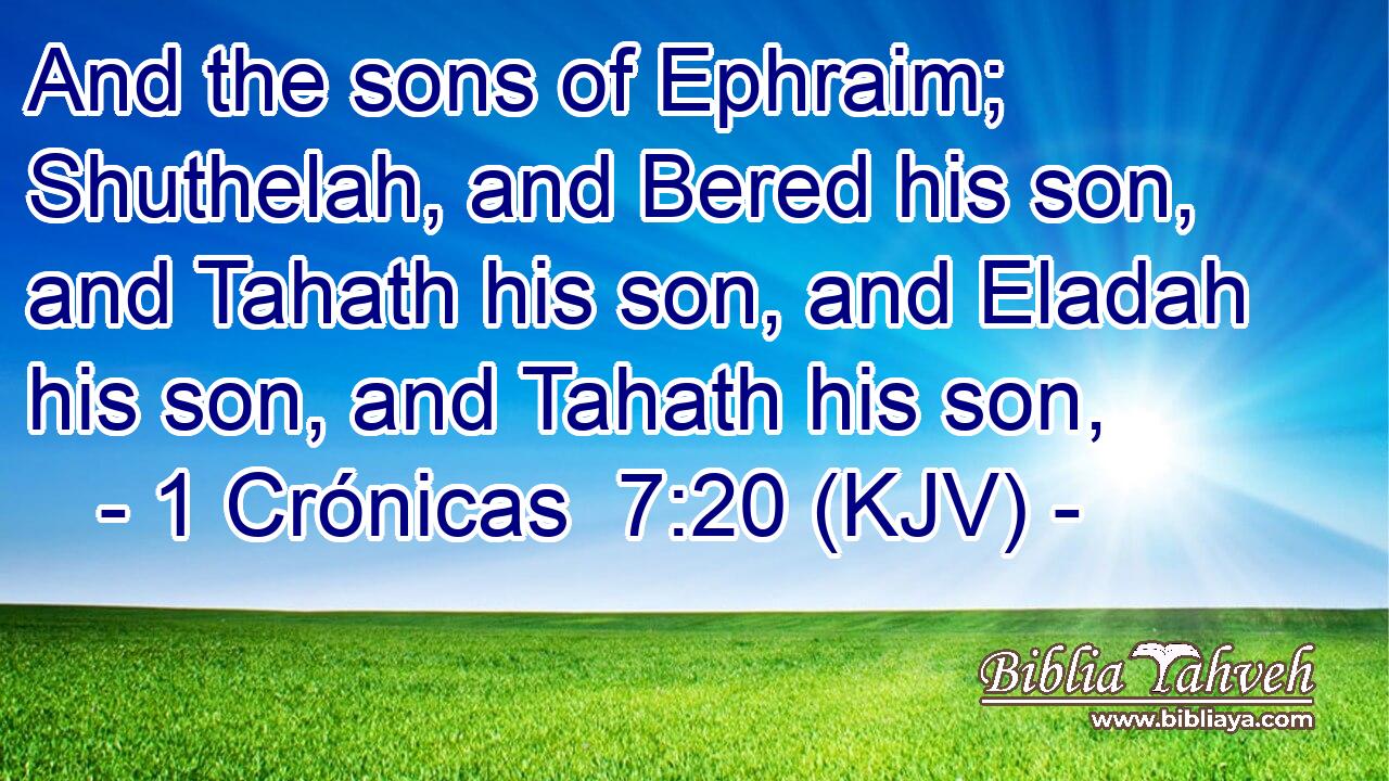 And the sons of Ephraim; Shuthelah, and Bered his son, and Tahath his son, and Eladah his son, and Tahath his son,