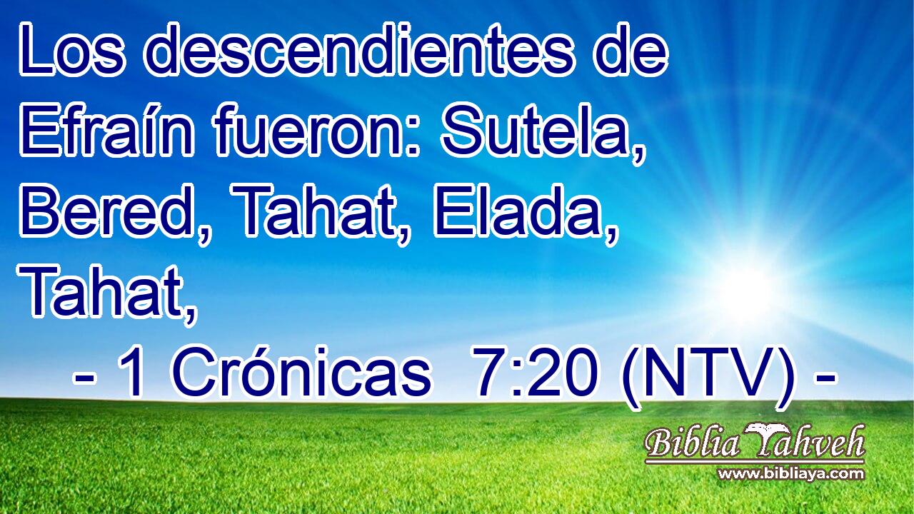Los descendientes de Efraín fueron: Sutela, Bered, Tahat, Elada, Tahat,