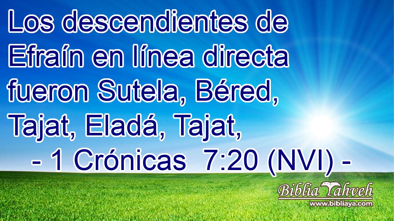  Los descendientes de Efraín en línea directa fueron Sutela, Béred, Tajat, Eladá, Tajat, 