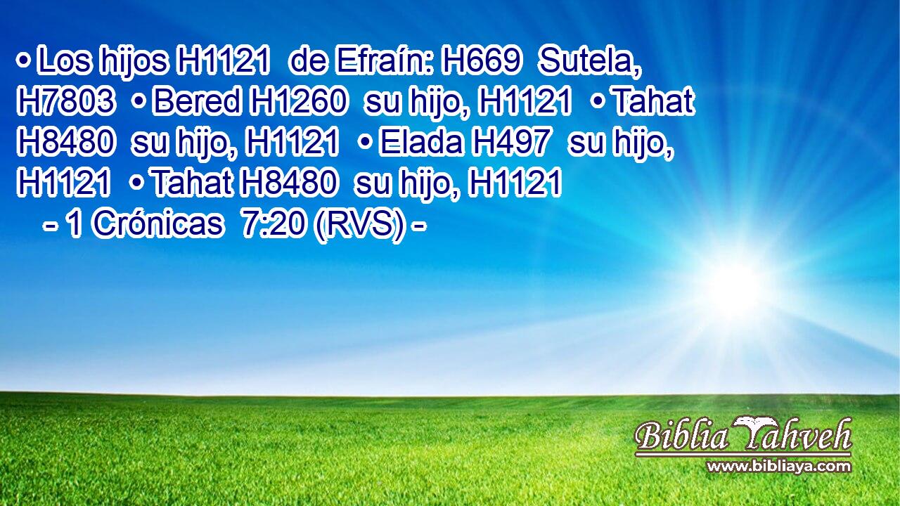 • Los hijos H1121  de Efraín: H669  Sutela, H7803  • Bered H1260  su hijo, H1121  • Tahat H8480  su hijo, H1121  • Elada H497  su hijo, H1121  • Tahat H8480  su hijo, H1121  