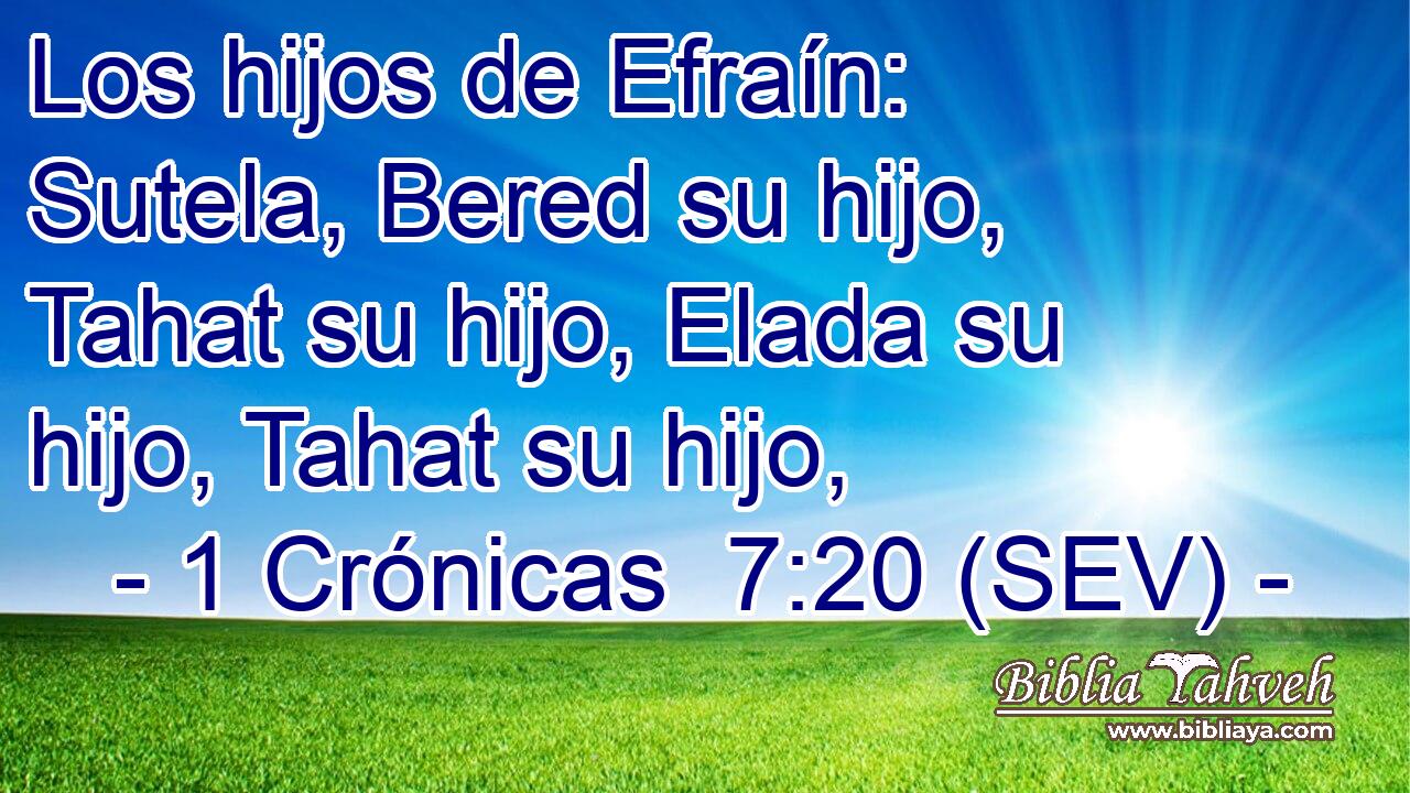 Los hijos de Efraín: Sutela, Bered su hijo, Tahat su hijo, Elada su hijo, Tahat su hijo,