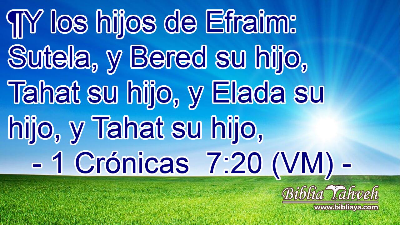  ¶Y los hijos de Efraim: Sutela, y Bered su hijo, Tahat su hijo, y Elada su hijo, y Tahat su hijo, 