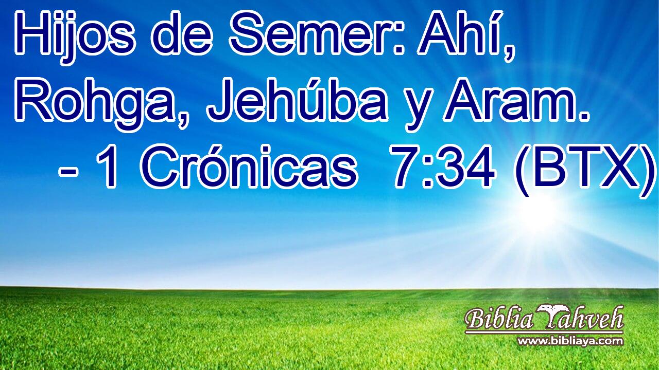 Hijos de Semer: Ahí, Rohga, Jehúba y Aram.
