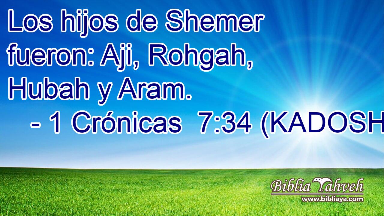  Los hijos de Shemer fueron: Aji, Rohgah, Hubah y Aram. 