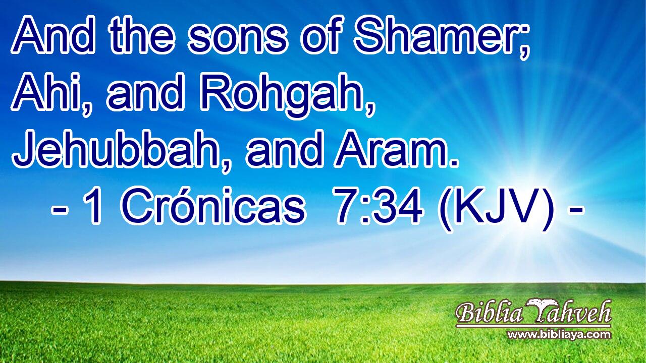 And the sons of Shamer; Ahi, and Rohgah, Jehubbah, and Aram.