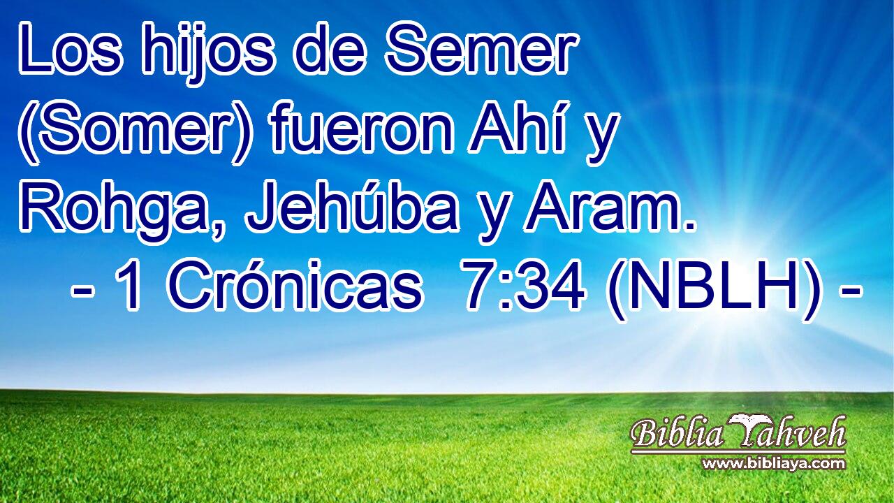  Los hijos de Semer (Somer) fueron Ahí y Rohga, Jehúba y Aram. 