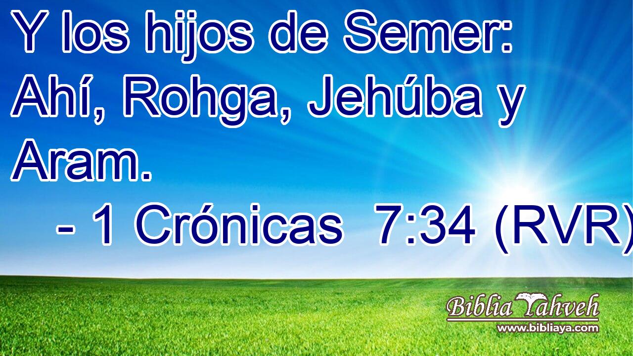 Y los hijos de Semer: Ahí, Rohga, Jehúba y Aram.