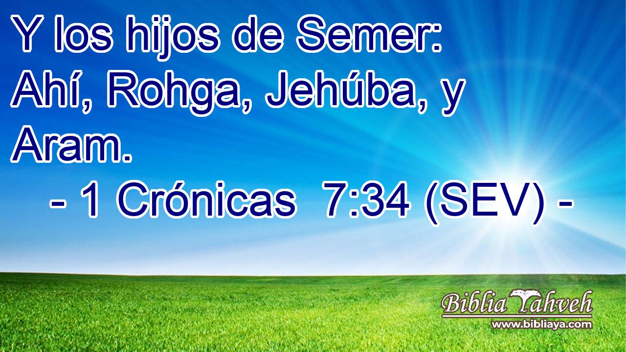 Y los hijos de Semer: Ahí, Rohga, Jehúba, y Aram.