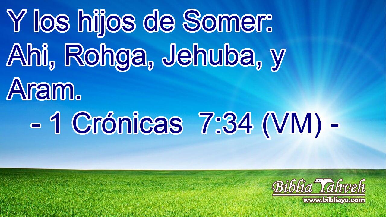  Y los hijos de Somer: Ahi, Rohga, Jehuba, y Aram. 
