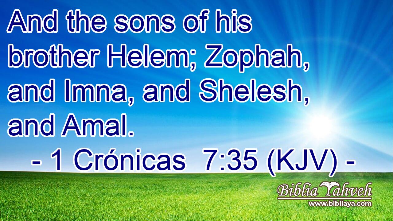 And the sons of his brother Helem; Zophah, and Imna, and Shelesh, and Amal.