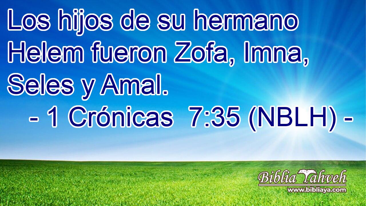  Los hijos de su hermano Helem fueron Zofa, Imna, Seles y Amal. 