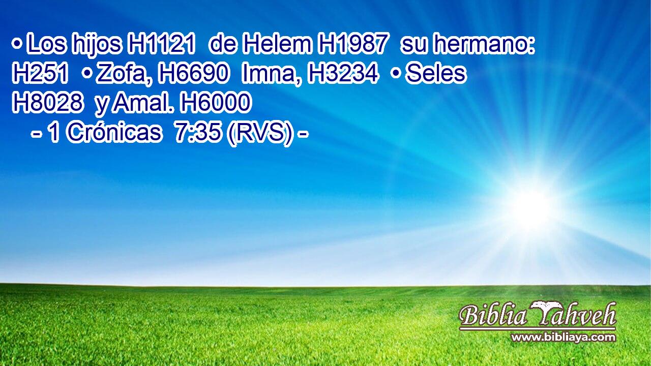 • Los hijos H1121  de Helem H1987  su hermano: H251  • Zofa, H6690  Imna, H3234  • Seles H8028  y Amal. H6000  