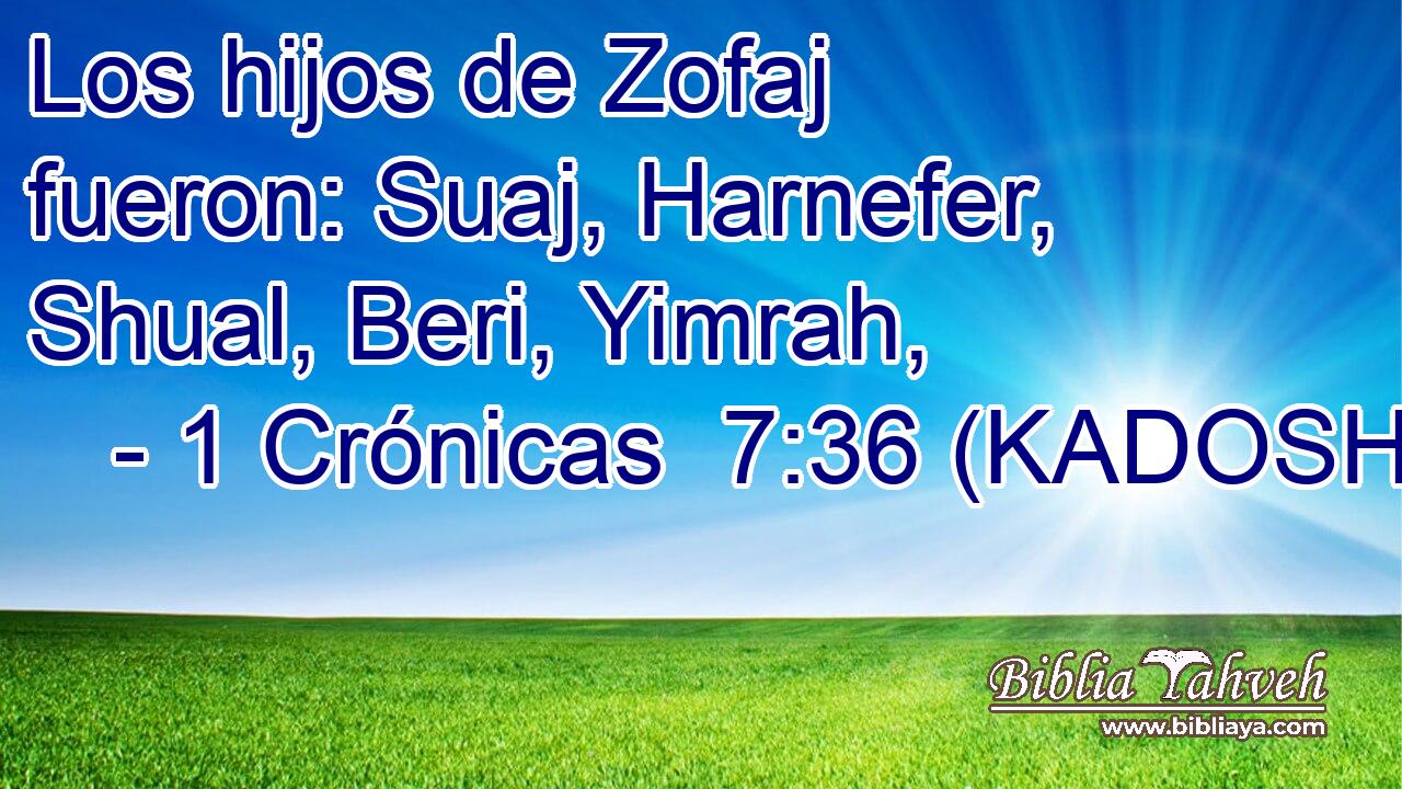  Los hijos de Zofaj fueron: Suaj, Harnefer, Shual, Beri, Yimrah, 