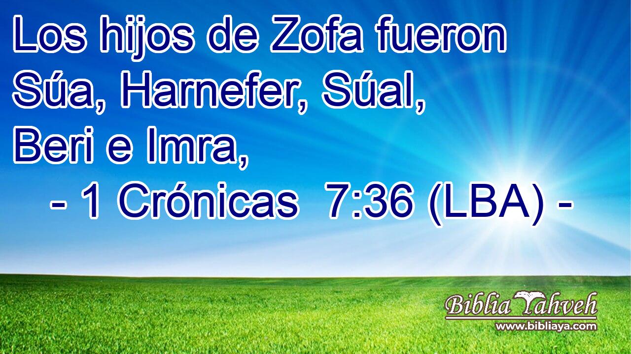 Los hijos de Zofa fueron Súa, Harnefer, Súal, Beri e Imra,