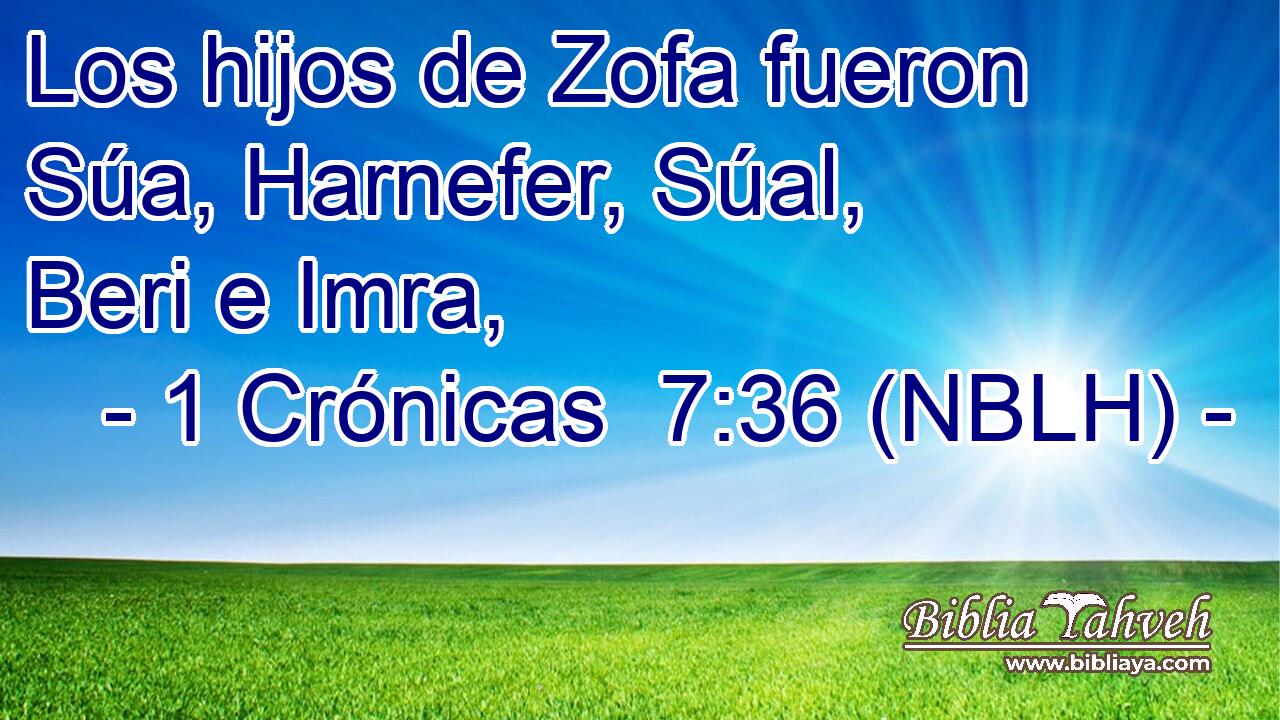  Los hijos de Zofa fueron Súa, Harnefer, Súal, Beri e Imra, 