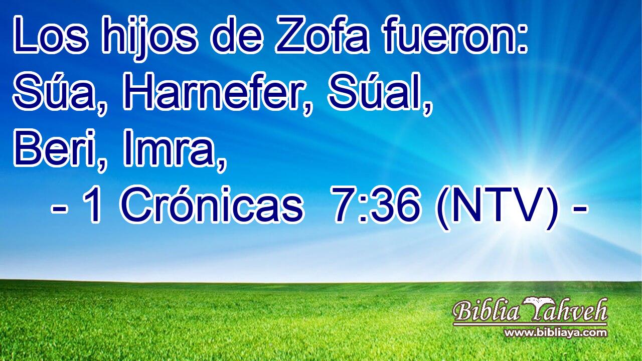 Los hijos de Zofa fueron: Súa, Harnefer, Súal, Beri, Imra,