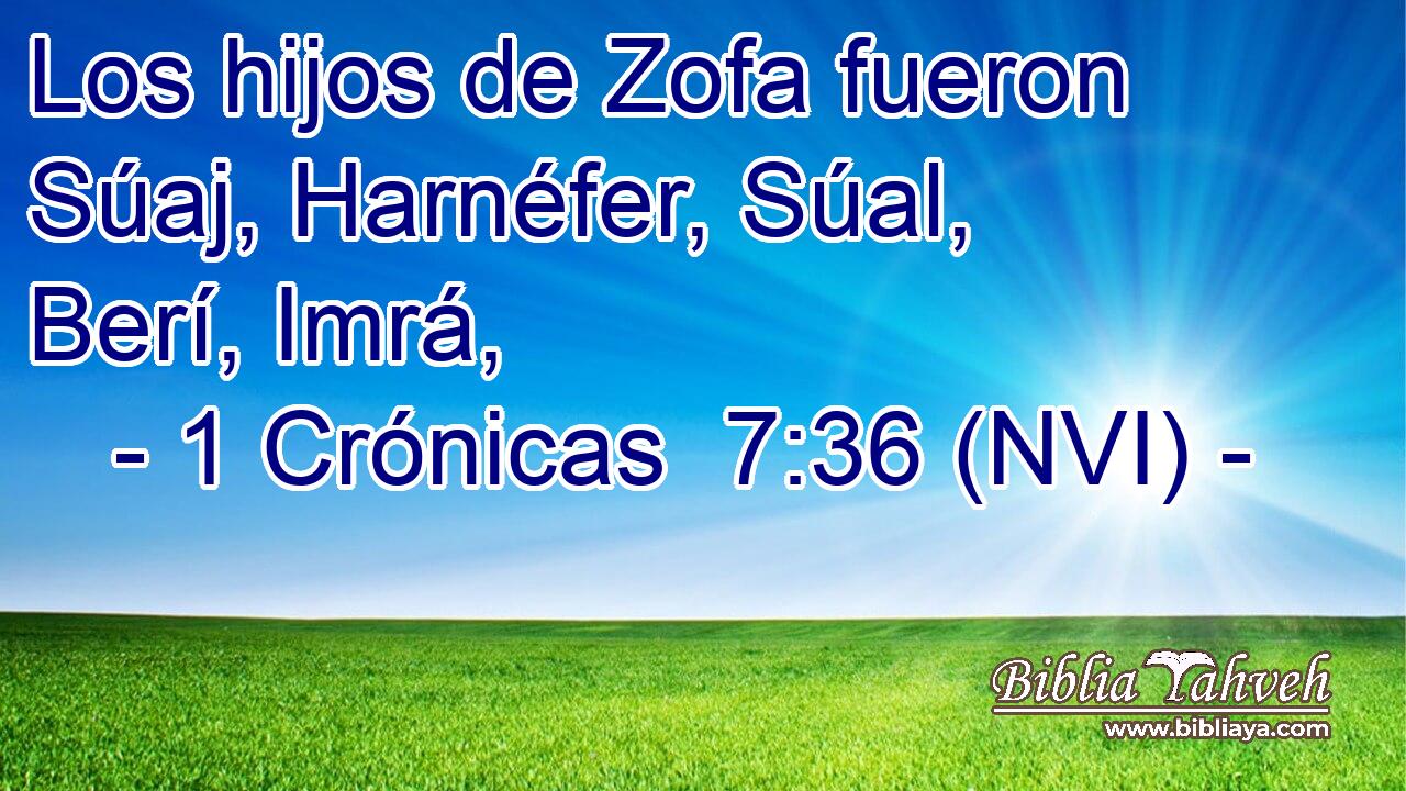  Los hijos de Zofa fueron Súaj, Harnéfer, Súal, Berí, Imrá, 
