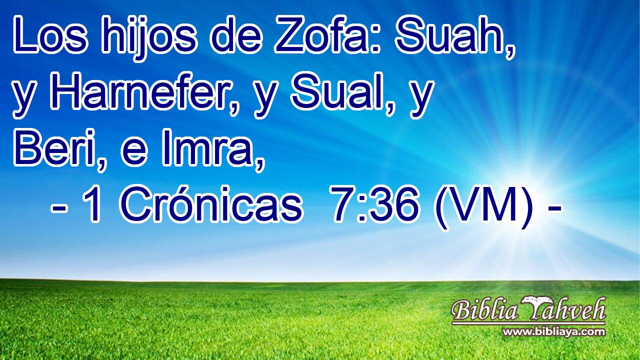  Los hijos de Zofa: Suah, y Harnefer, y Sual, y Beri, e Imra, 