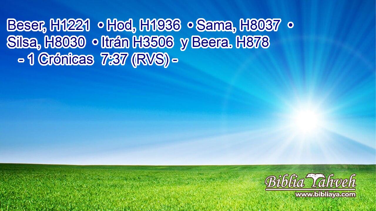 Beser, H1221  • Hod, H1936  • Sama, H8037  • Silsa, H8030  • Itrán H3506  y Beera. H878  