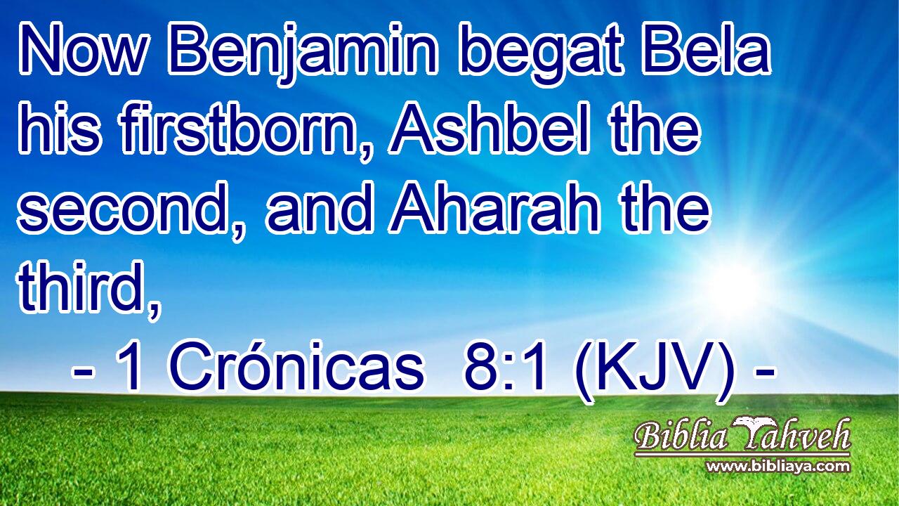 Now Benjamin begat Bela his firstborn, Ashbel the second, and Aharah the third,