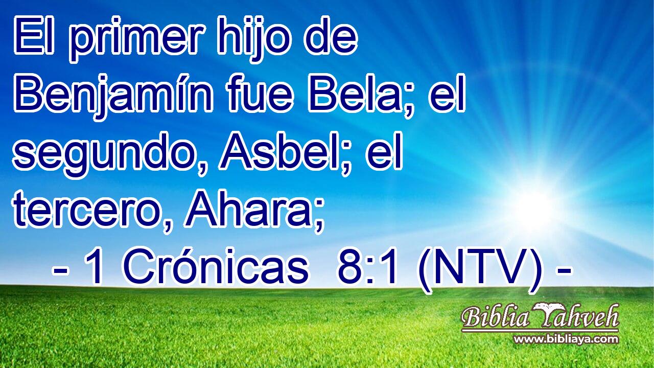 El primer hijo de Benjamín fue Bela; el segundo, Asbel; el tercero, Ahara;