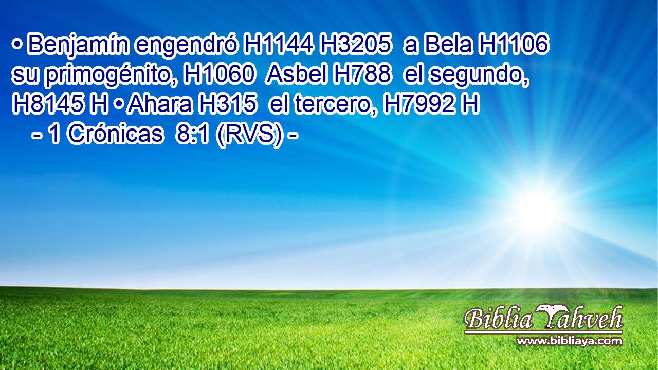 • Benjamín engendró H1144 H3205  a Bela H1106  su primogénito, H1060  Asbel H788  el segundo, H8145 H • Ahara H315  el tercero, H7992 H 