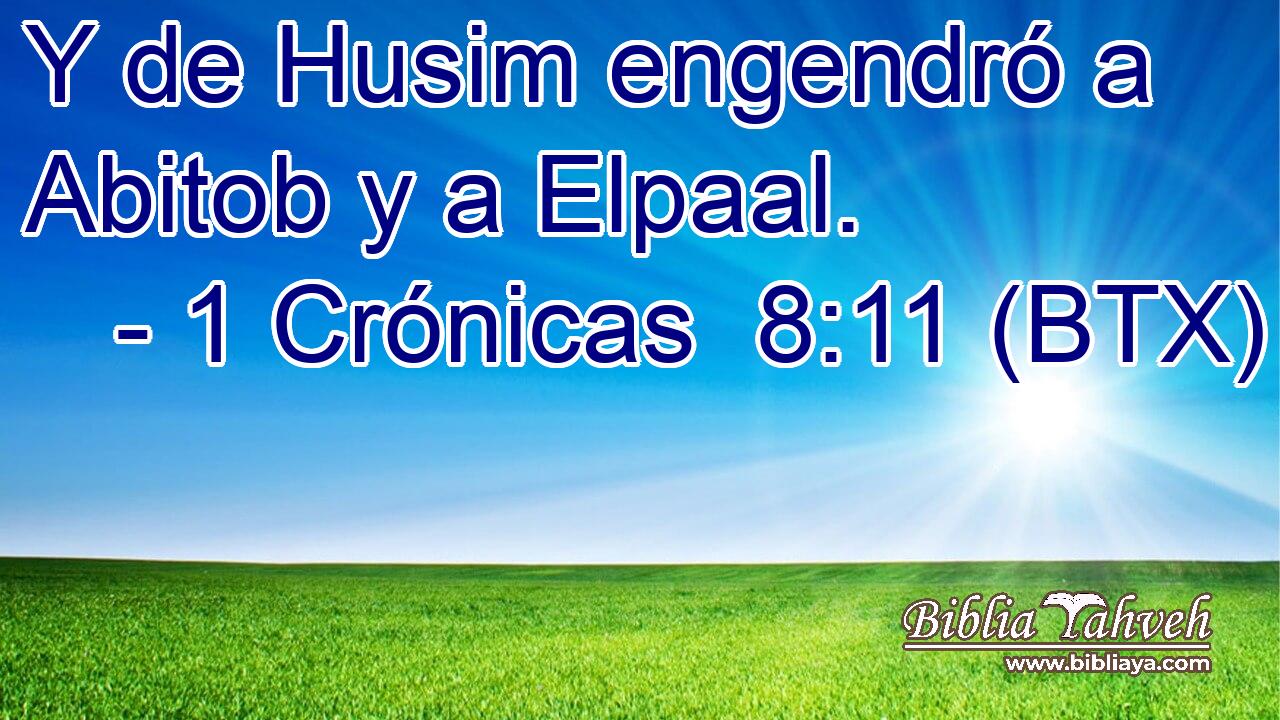 Y de Husim engendró a Abitob y a Elpaal.