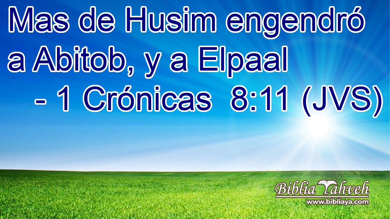 Mas de Husim engendró a Abitob, y a Elpaal